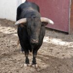 Sorteo. Málaga, domingo 18 de agosto de 2019