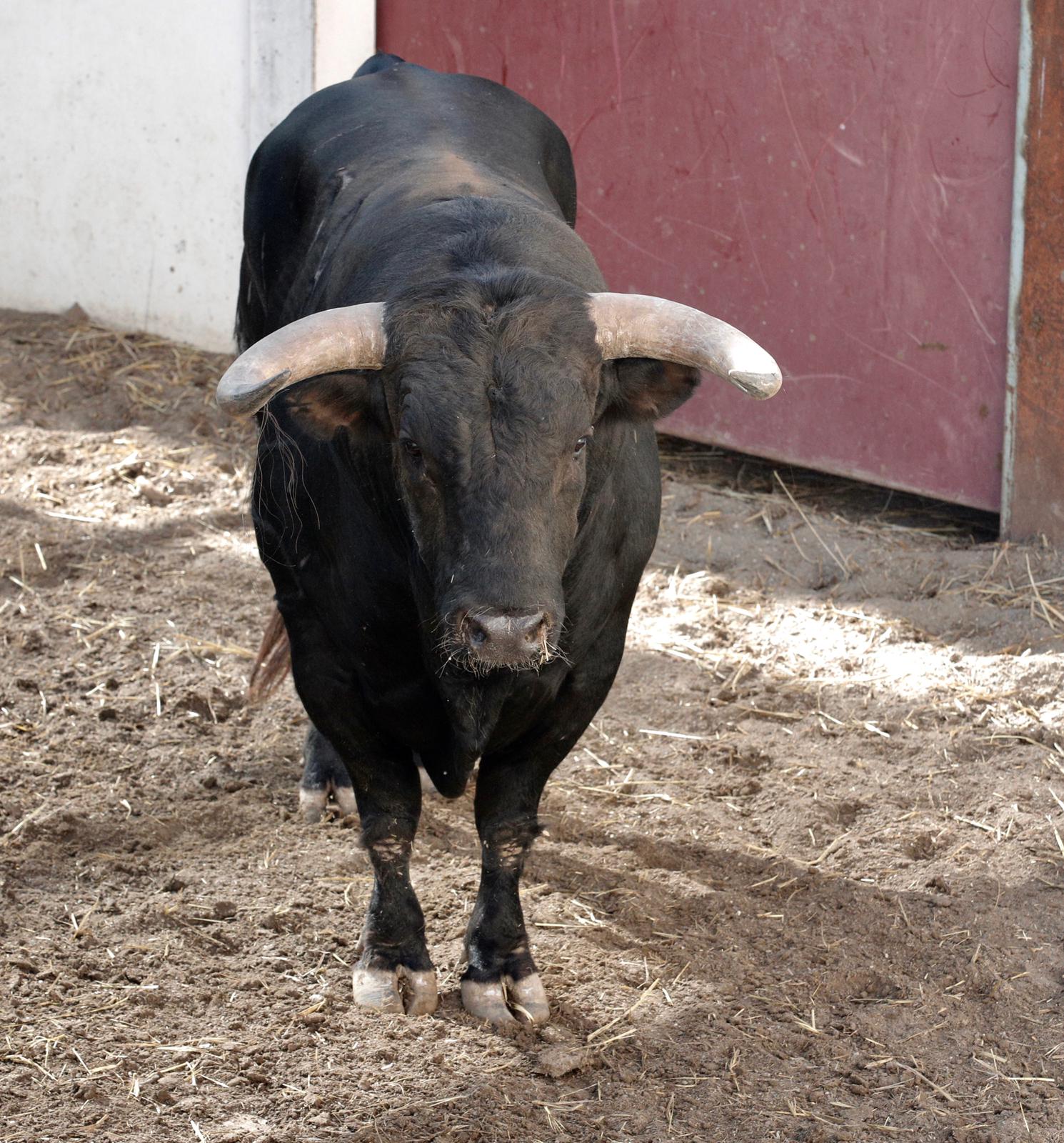 Sorteo. Málaga, domingo 18 de agosto de 2019