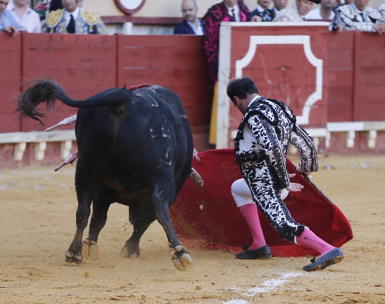 El Puerto de Santa María, sábado 10 de agosto de 2019