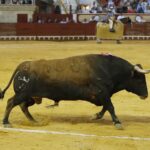 El Puerto de Santa María, sábado 10 de agosto de 2019