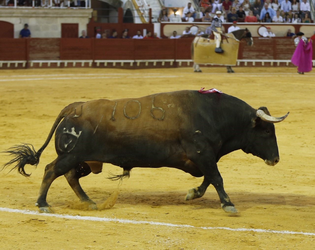 El Puerto de Santa María, sábado 10 de agosto de 2019