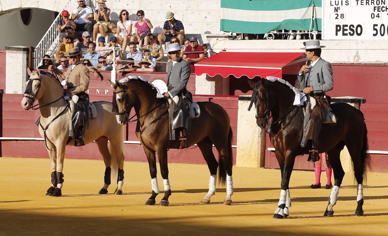 Málaga, jueves 15 de agosto de 2019