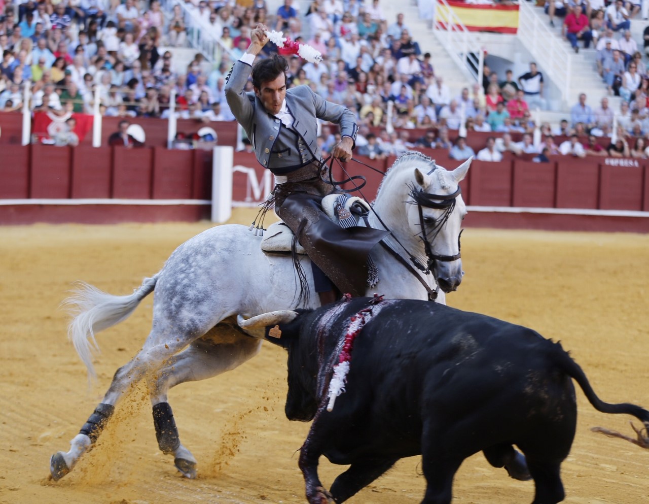 Málaga, jueves 15 de agosto de 2019