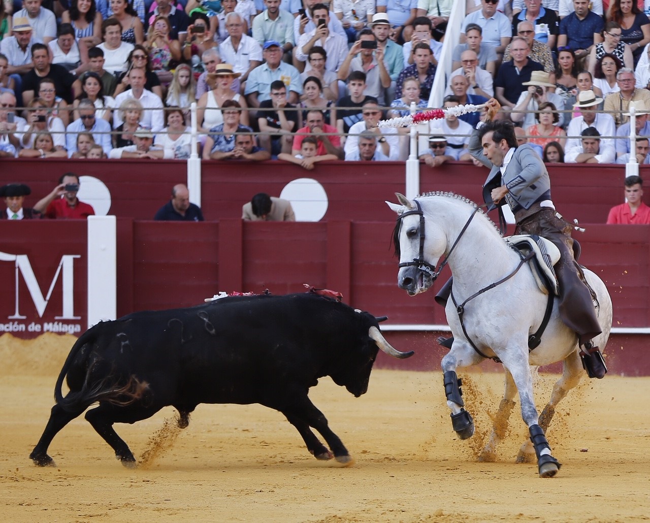 Málaga, jueves 15 de agosto de 2019