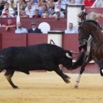 Málaga, jueves 15 de agosto de 2019