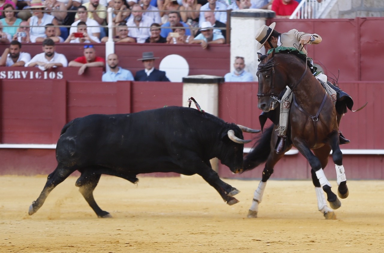 Málaga, jueves 15 de agosto de 2019