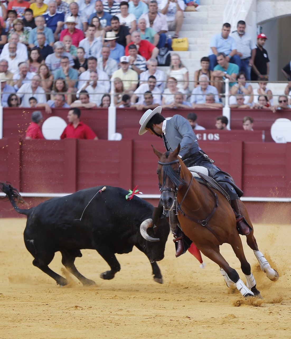 Málaga, jueves 15 de agosto de 2019