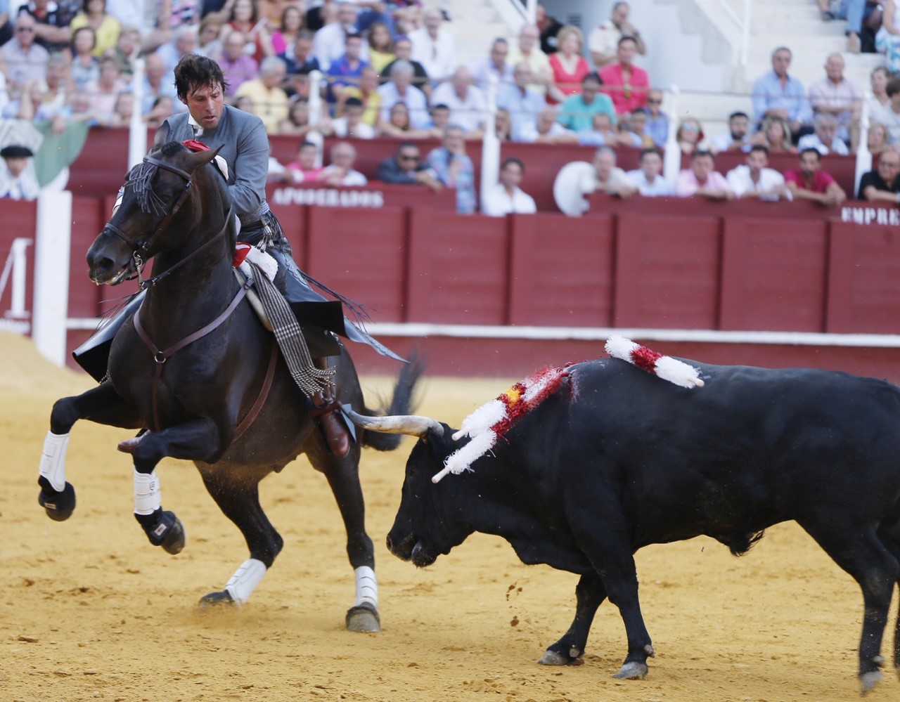 Málaga, jueves 15 de agosto de 2019