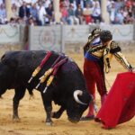 Ronda, sábado 31 de agosto de 2019. Corrida Goyesca
