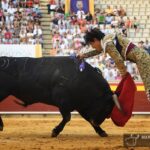 Palencia, sábado 31 de agosto de 2019