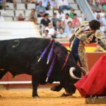 Palencia, sábado 31 de agosto de 2019