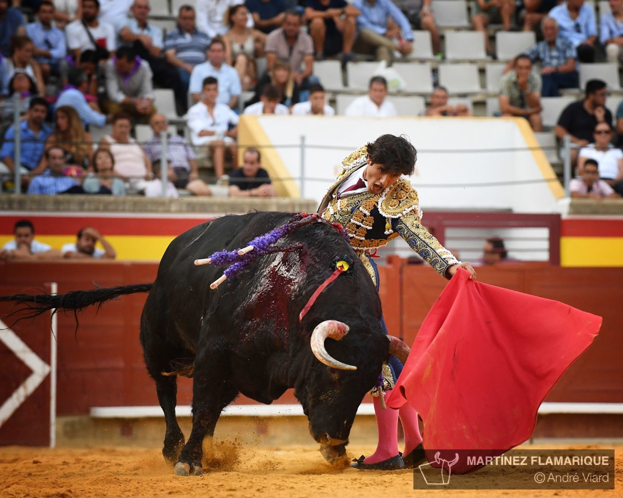 Palencia, sábado 31 de agosto de 2019