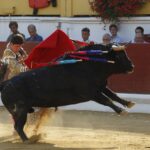 Hagetmau (Francia), domingo 4 de agosto de 2019