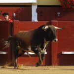 Hagetmau (Francia), domingo 4 de agosto de 2019