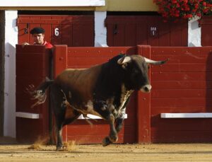 Hagetmau (Francia), domingo 4 de agosto de 2019