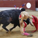 Hagetmau (Francia), domingo 4 de agosto de 2019