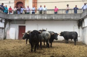 Sorteo. Gijón, miércoles 14 de agosto de 2019