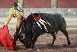 Joselito Adame, cedral 14 de agosto de 2019