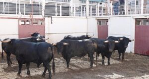 Sorteo. Málaga, jueves 15 de agosto de 2019