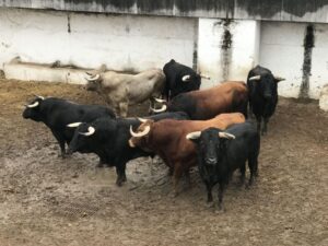 Sorteo. Gijón, domingo 18 de agosto de 2019