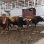 Sorteo. Málaga, domingo 18 de agosto de 2019