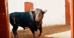 Sorteo. Almería, domingo 18 de agosto de 2019