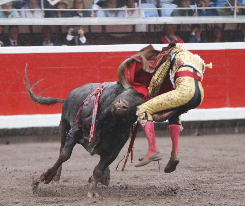 De Justo, desgarro de una oreja y contusión en la región sacra en Bilbao