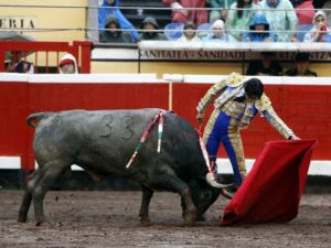 Curro Díaz, este domingo en Bilbao.