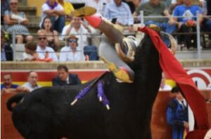 Palencia, viernes 30 de agosto de 2019