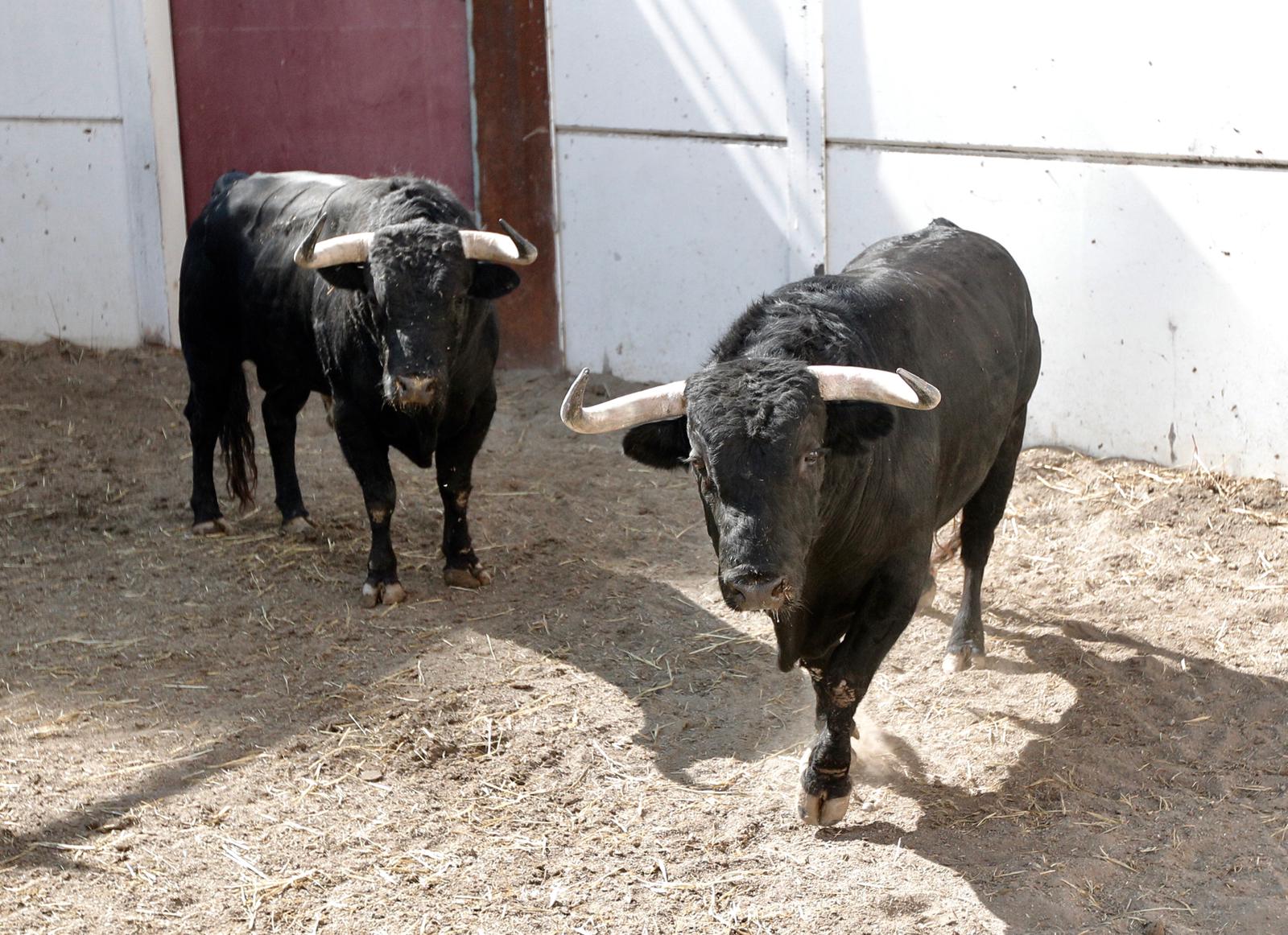 Seis de Puerto de San Lorenzo para Málaga