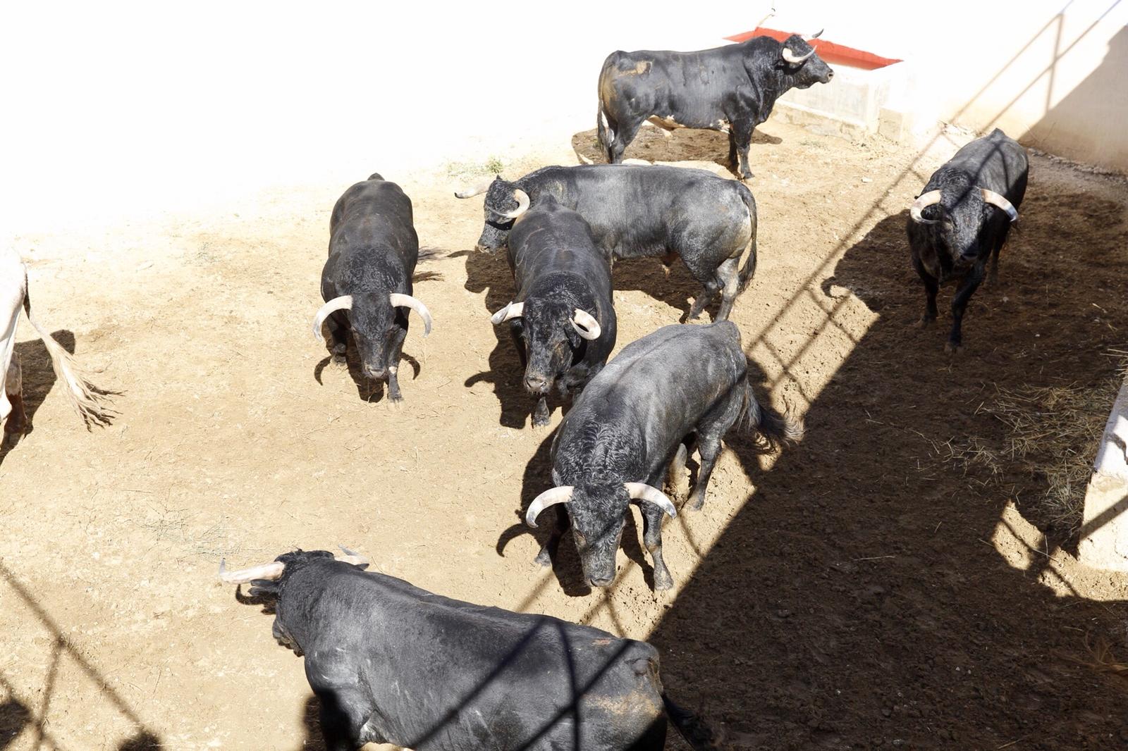 Seis de Pallarés para el inicio de Cuenca