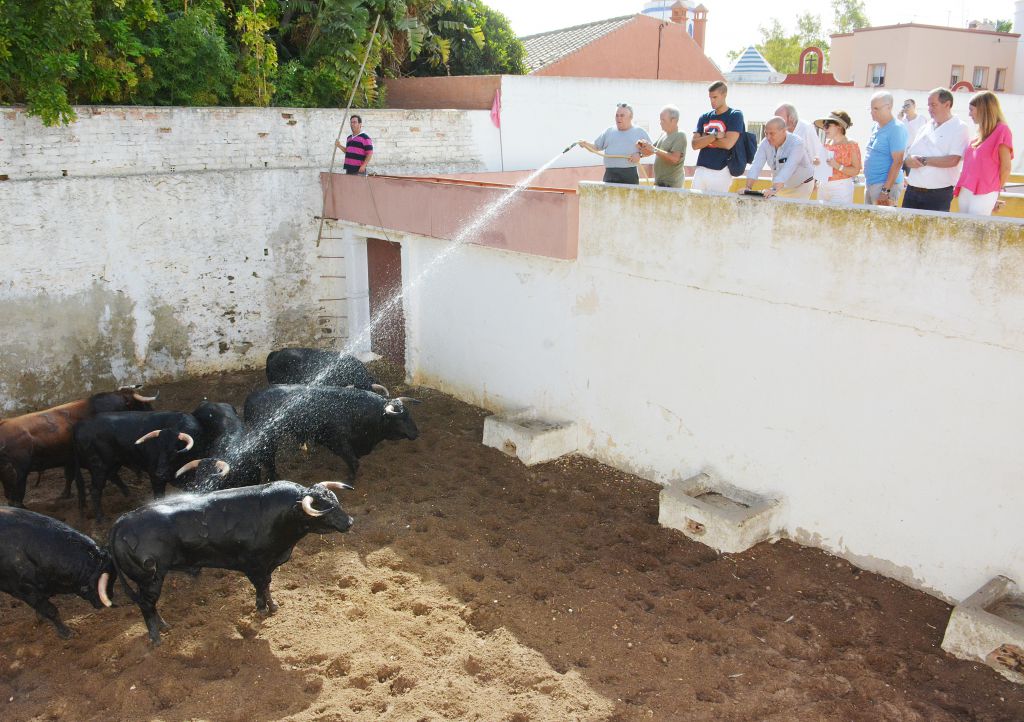 Desembarcados en Fuengirola los toros de José Vázquez
