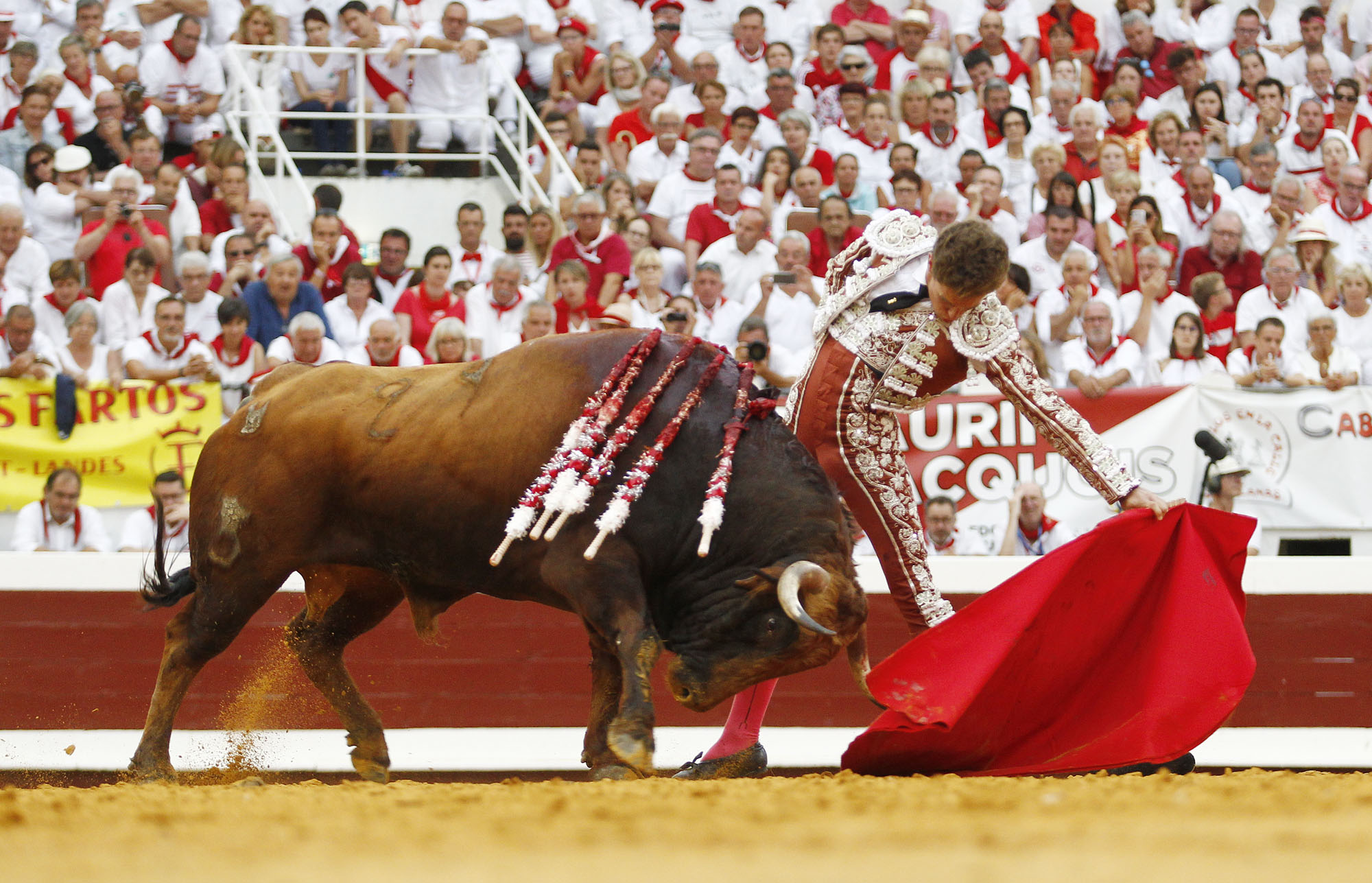 Apoteosis de Ginés Marín y Santiago Domecq en Dax