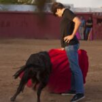 Tentadero en Daniel Ruiz