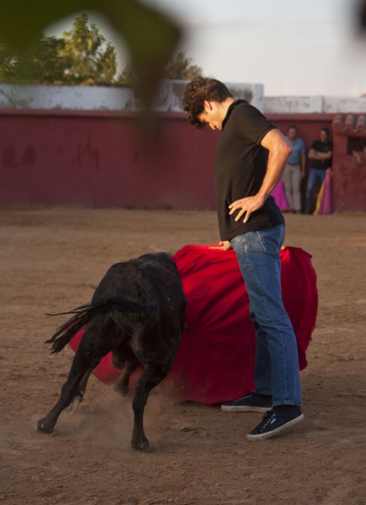 Tentadero en Daniel Ruiz