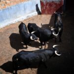 Sorteo. Salamanca, 14 de septiembre de 2019