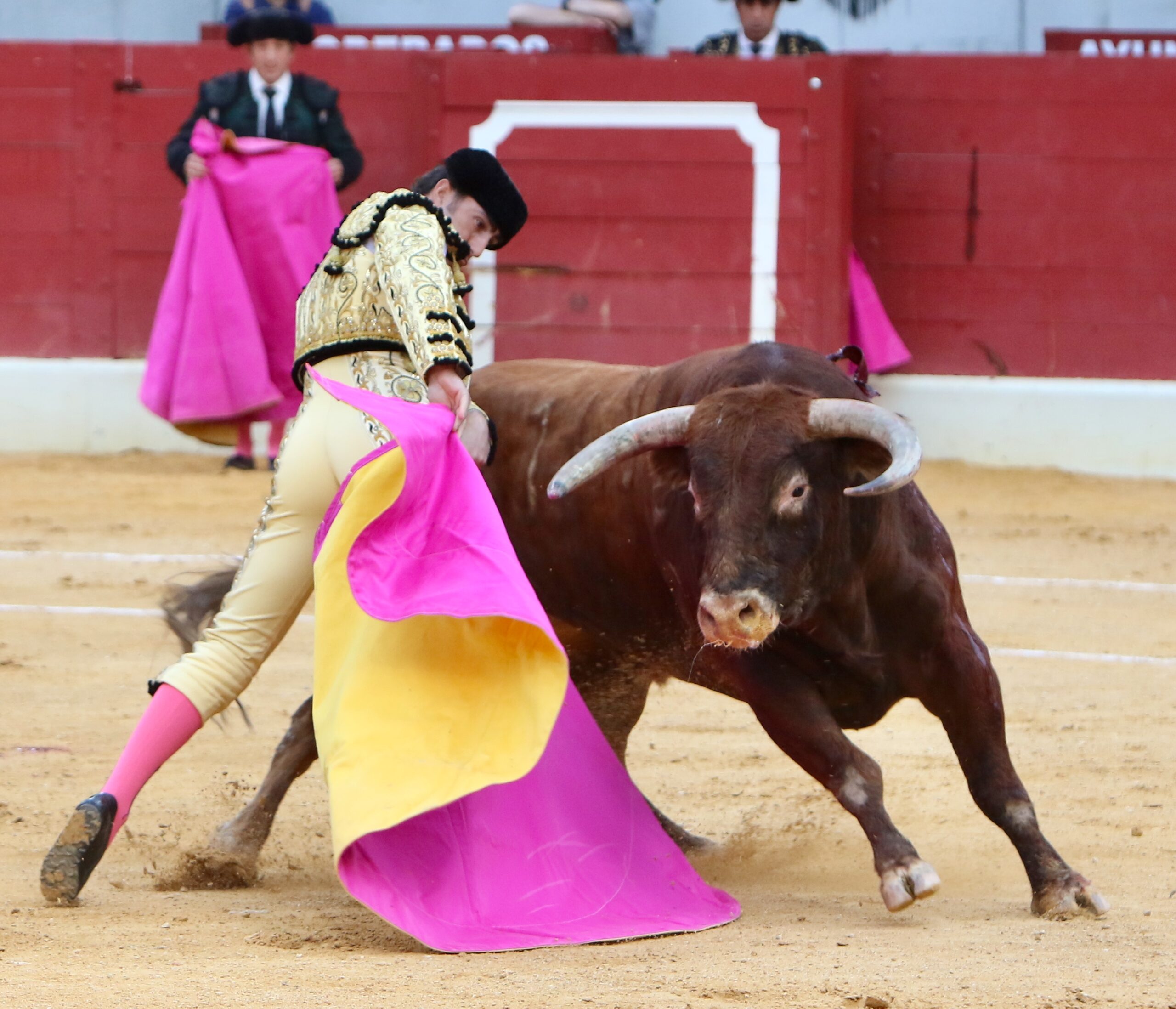 Villena (Alicante), 7 de septiembre de 2019. Toros de Alcurrucén para El Fandi, José María Manzanares y Francisco José Palazón.