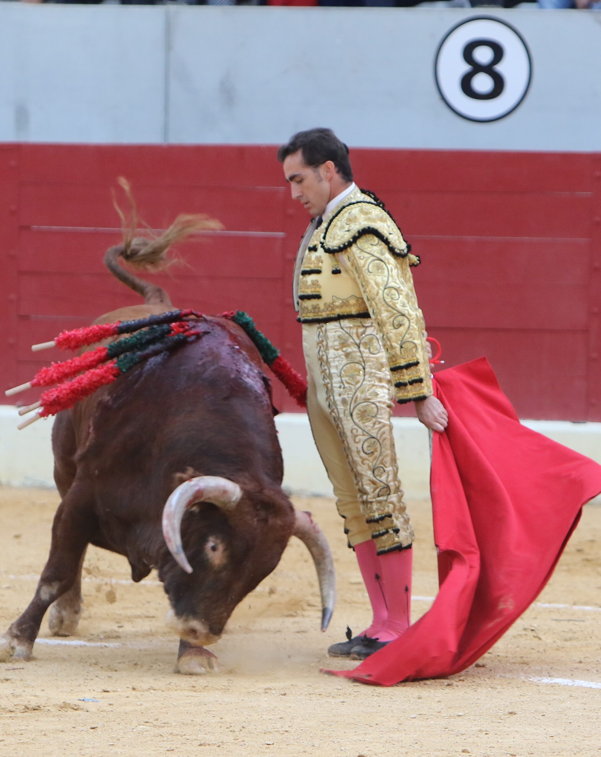 Villena (Alicante), 7 de septiembre de 2019. Toros de Alcurrucén para El Fandi, José María Manzanares y Francisco José Palazón.