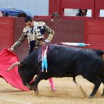 Villena (Alicante), 7 de septiembre de 2019. Toros de Alcurrucén para El Fandi, José María Manzanares y Francisco José Palazón.