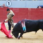 Villena (Alicante), 7 de septiembre de 2019. Toros de Alcurrucén para El Fandi, José María Manzanares y Francisco José Palazón.