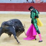 Villena (Alicante), 7 de septiembre de 2019. Toros de Alcurrucén para El Fandi, José María Manzanares y Francisco José Palazón.