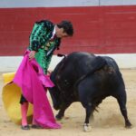Villena (Alicante), 7 de septiembre de 2019. Toros de Alcurrucén para El Fandi, José María Manzanares y Francisco José Palazón.