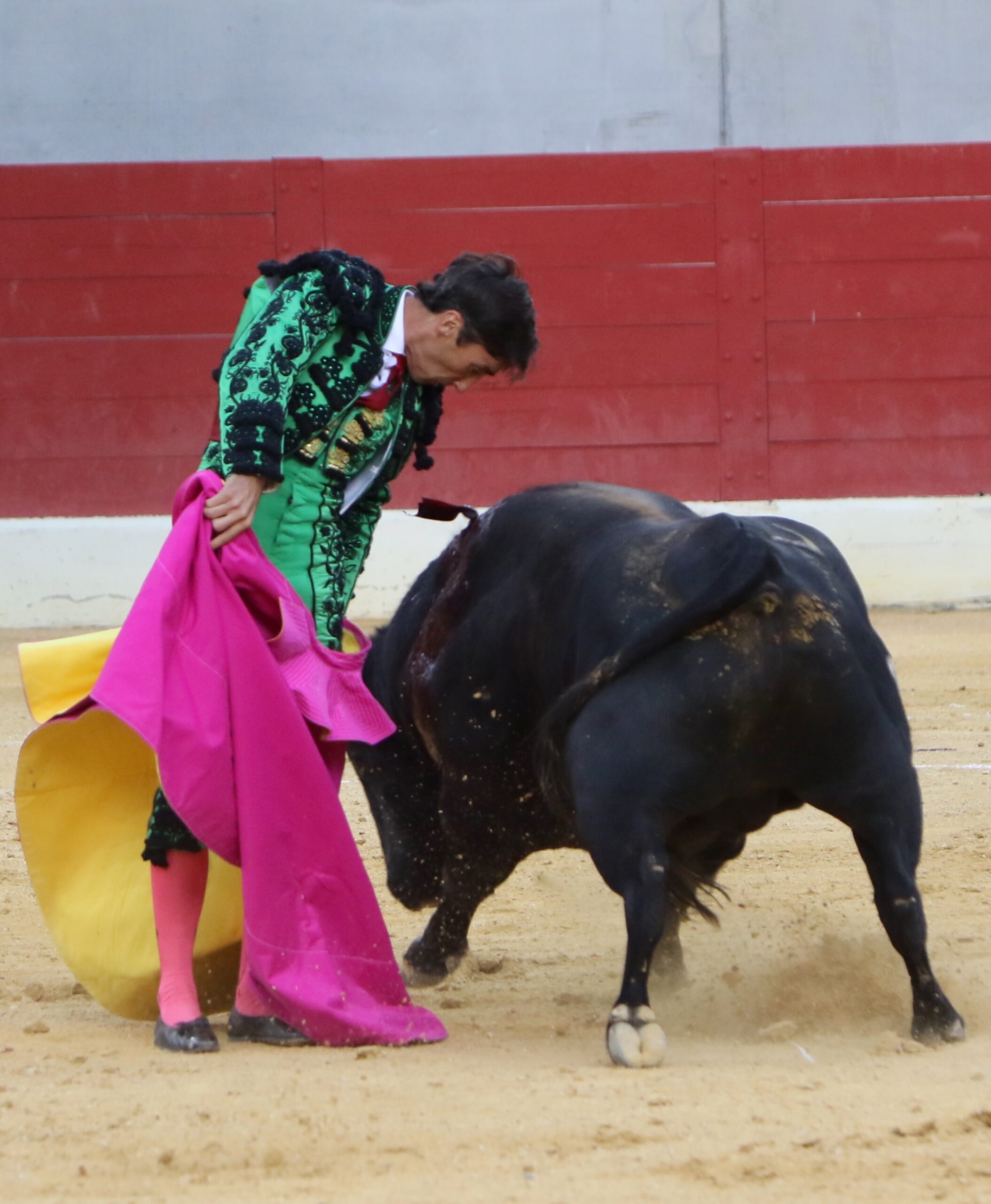 Villena (Alicante), 7 de septiembre de 2019. Toros de Alcurrucén para El Fandi, José María Manzanares y Francisco José Palazón.