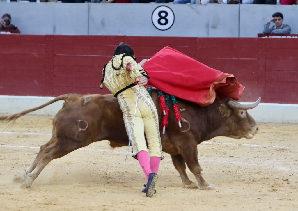 Villena (Alicante), 7 de septiembre de 2019. Toros de Alcurrucén para El Fandi, José María Manzanares y Francisco José Palazón.