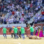 Villena (Alicante), 7 de septiembre de 2019. Toros de Alcurrucén para El Fandi, José María Manzanares y Francisco José Palazón.