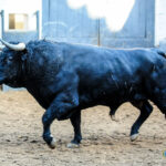 Sorteo. Madrid, sábado 28 de septiembre de 2019