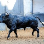 Sorteo. Madrid, sábado 28 de septiembre de 2019