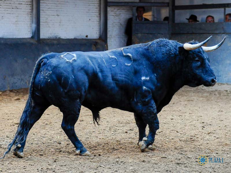 Sorteo. Madrid, sábado 28 de septiembre de 2019