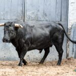 Orden de lidia. Madrid, domingo 15 de septiembre de 2019