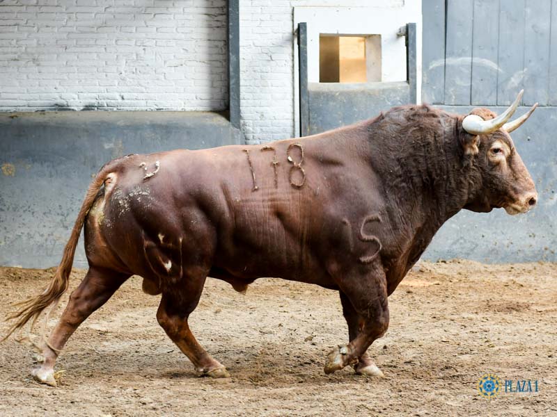 Sorteo. Madrid, domingo 29 de septiembre de 2019